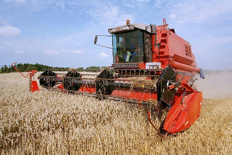 Сбор урожая пшеницы в Дании